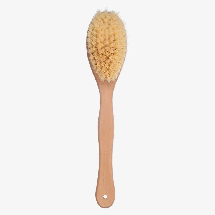 EUREKA Long Handle Back Body Brush for Bath & Shower Care
